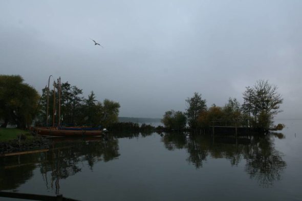 img_5959