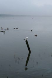 img_5966