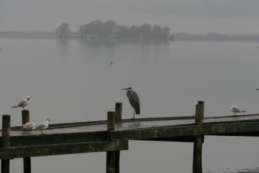 img_5986