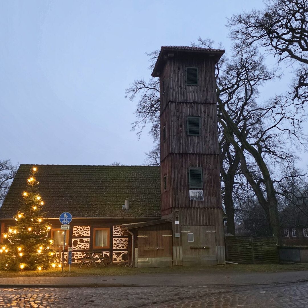 20251227_162402sseed